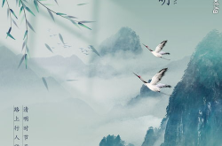 清明节的图片,缅怀与生机并存的节日画卷