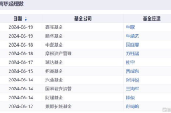 基金经理离职创新高,基金经理离职潮再掀新高潮