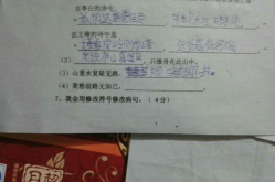 zhanqun.vip,赖组词,从依赖到赖皮，探寻赖字的多样用法