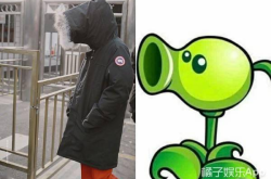 喜喜吃瓜娱乐,揭秘娱乐圈幕后故事，带你领略明星真实生活