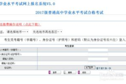 高中学业水平考试网上报名系统,高中学业水平考试网上报名系统操作指南及注意事项
