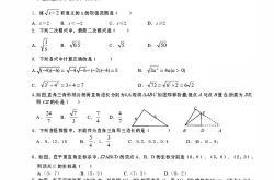 八年级数学下册期中试卷,“八年级数学下册期中试卷解析与知识点回顾”