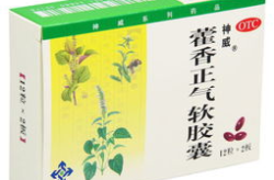 藿香正气软胶囊,藿香正气软胶囊——传统中药的现代守护神”