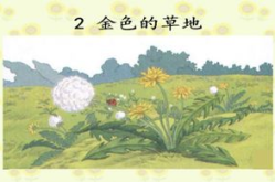 金色的草地课件,金色的草地之旅
