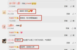 浅吃娱乐大瓜在线观看网址,独家在线观看网址大公开