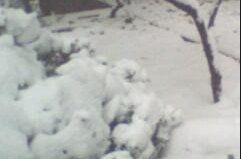 雪图片,冬日里的纯净仙境