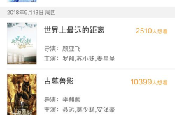 电影票房查询,实时洞察与市场分析