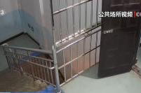 学校在震前两小时刚完成地震演练,地震应急演练助力师生避险技能提升