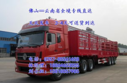 红河物流,多维度服务，打造高效物流新格局