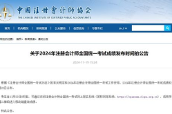 中国注册会计师协会网站,强化审计质量与准则一致性
