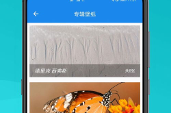 手机屏幕图片壁纸,手机壁纸图片的创意与美学之旅