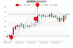 金洲管道股票,002443最新价6.11，涨跌幅-1.77%