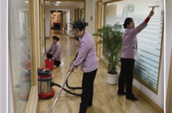 保洁服务价格,不同类型、地域及服务标准的费用一览