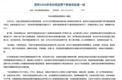西安处理责任人26名,西安26名责任人被处理